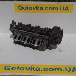Volkswagen VW 2.5 TDI права Головка блоку циліндрів (ГБЦ)
